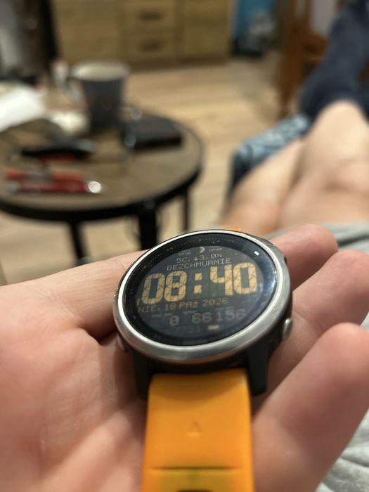 Smartwatch Garmin fenix 6s