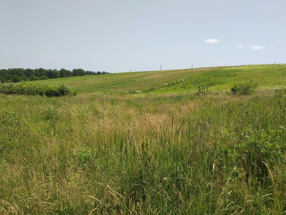 Продається ділянка на межі с. Колодіївка і с. Вовчинець, 1 лінія _RR