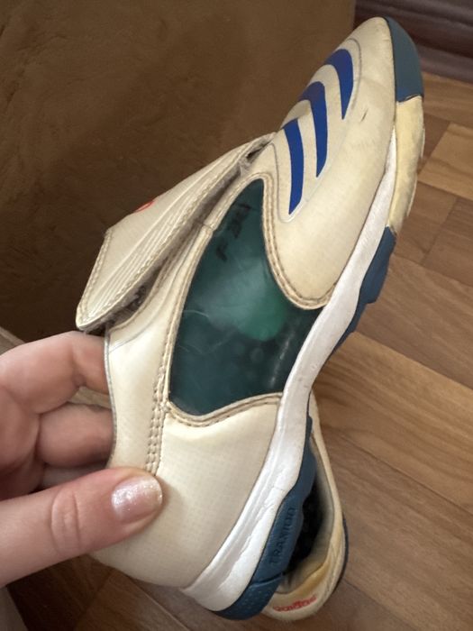 Продам сороконіжки 35 р