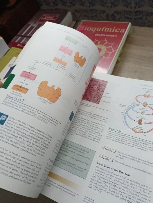 Livro: Human Anatomy – Van De Graaff (5th Edition