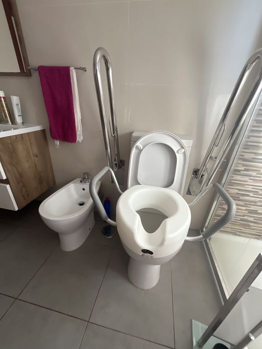 Elevador de Sanita com Apoio de Braços