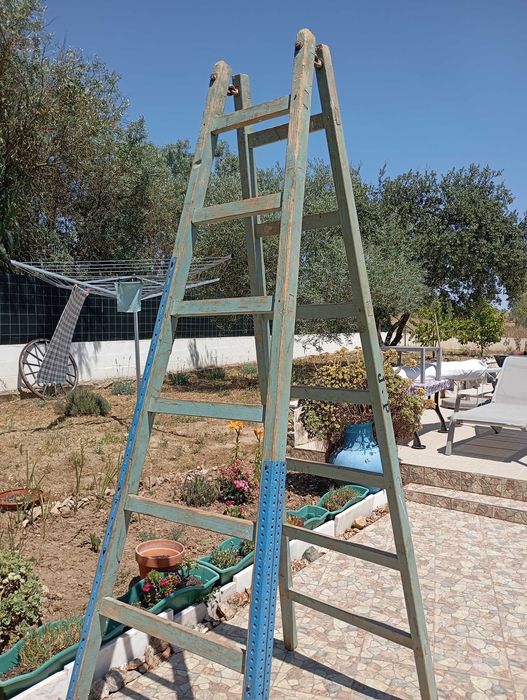 Escada de mão/escada para colheita de azeitonas e frutas. 2,40 m de altura.