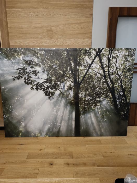 Obraz na ścianę Ikea