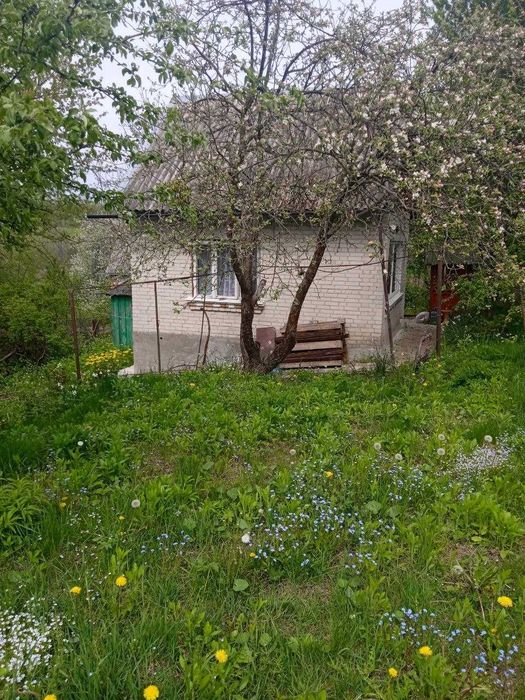 Продам дачну ділянку з будинком в Промені