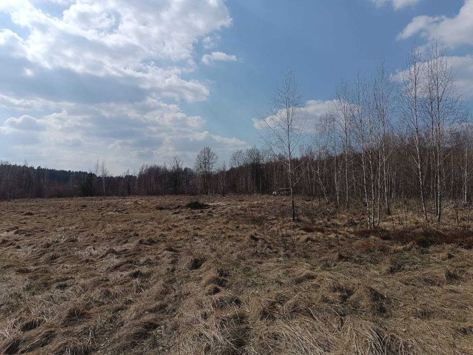 Продаж земельної ділянки 30 соток, с. Глібівка, Вишгородський р-н