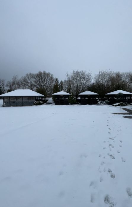 Продам Кафе з пляжем на березі Дніпра, Старий Томас