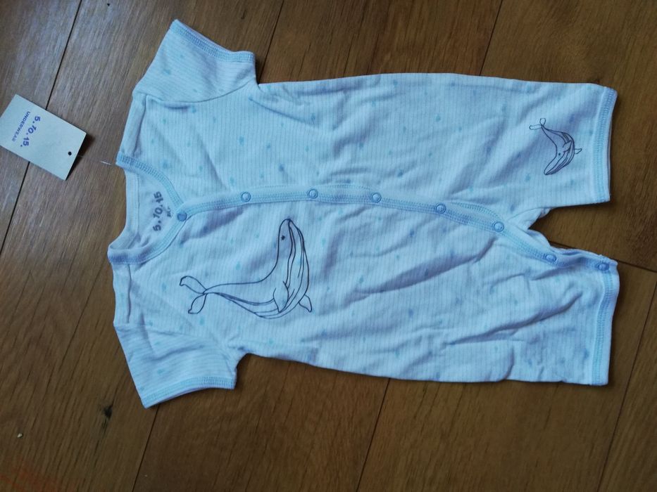 Body polspiochy 68 nowe