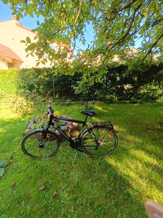 Triumph ts 61 rower trekkingowy