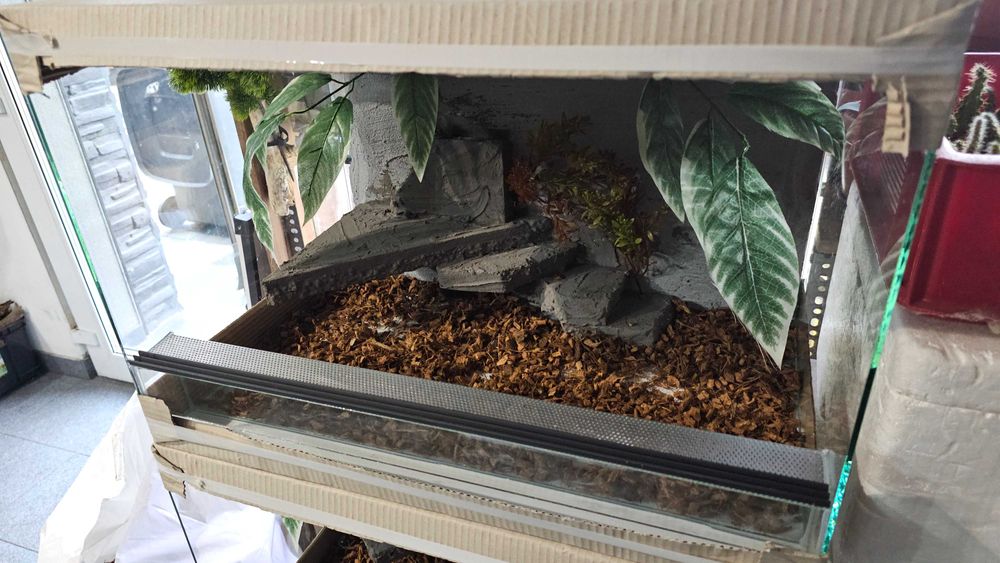 Terrarium z wystrojem 60x40x40 lub 40x40x60