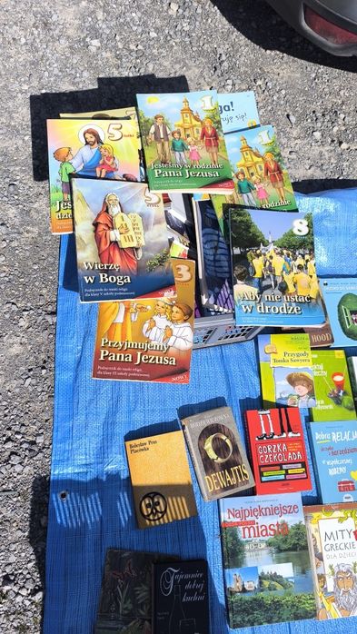 Zestaw ksiazek lektur duzo różnosci