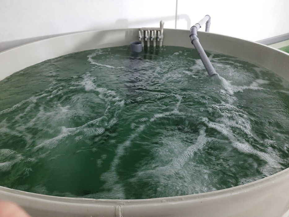 Басейни для УЗВ з поліпропілену — виготовлення за розмірами