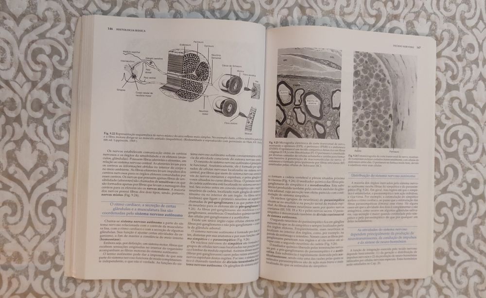 Livro Junqueiro Carneiro Histologia Básica 9a edição