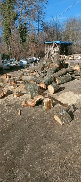 Czereśnia do wędzenia