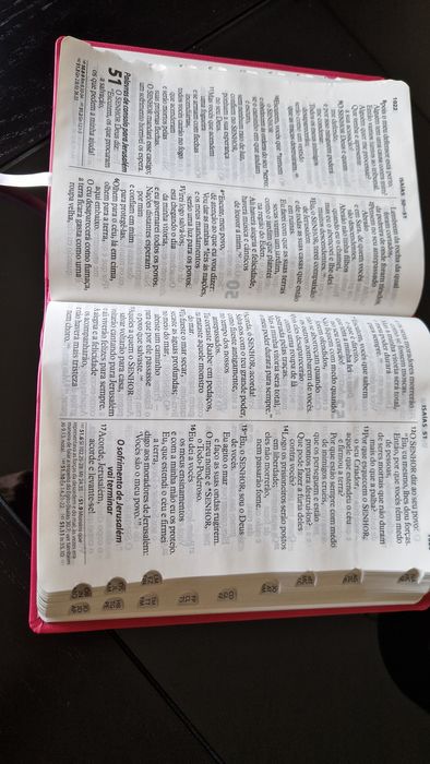 Bíblia Sagrada Letra Extra gigante NTLH | Capa Luxo Pink