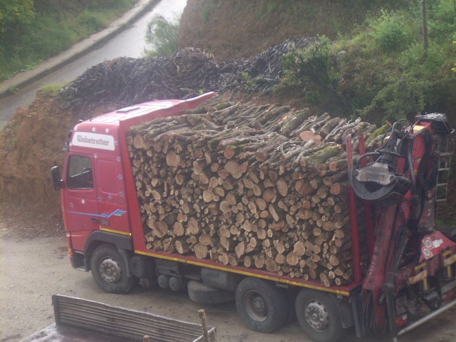 Дрова дуб колотий акація граб клен дрова з доствкою  дрова київська об