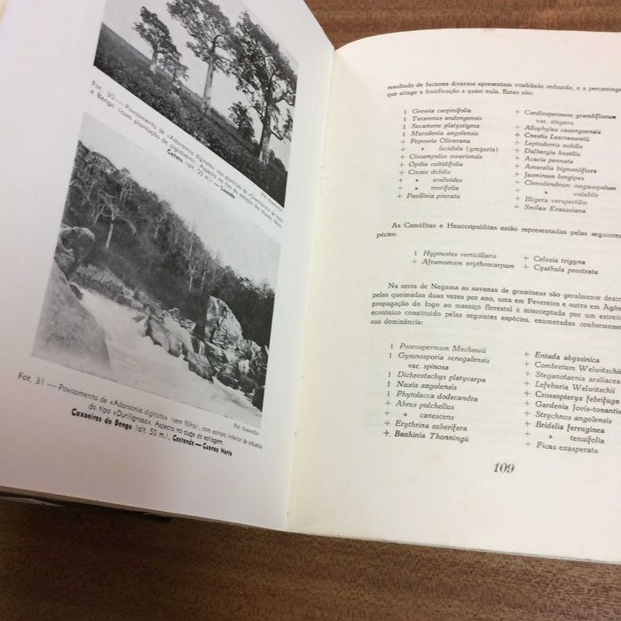 Livro Carta fitogeográfica de Angola