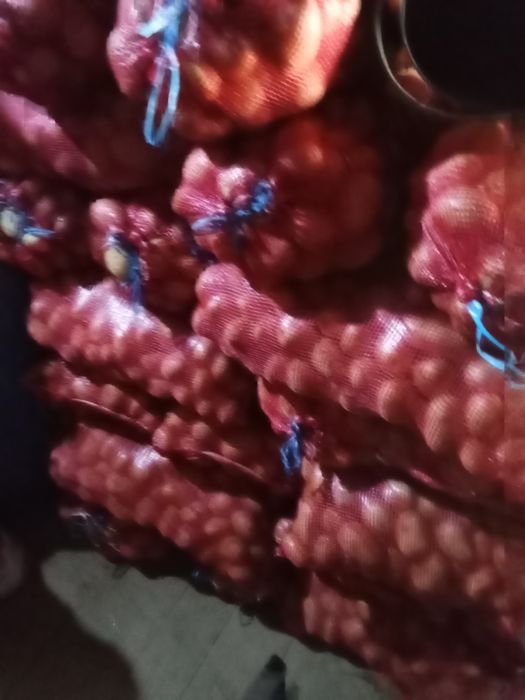 Vendo batatas belarosa