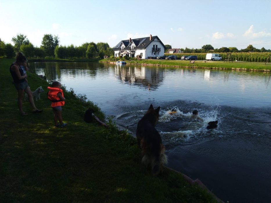 Pokoje Noclegi Kwatery Świecie