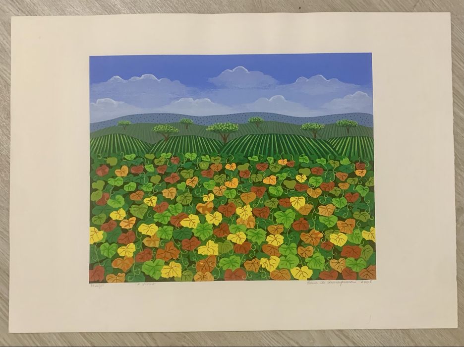 Sergrafia da Artista Edna Araraquara
