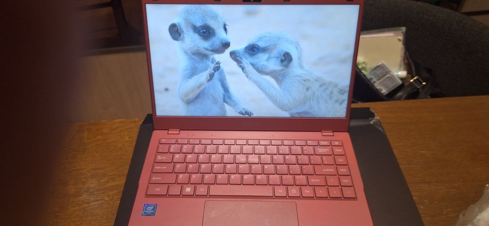 Laptop MAXCOM Office mBook14 Lite Plus 14.1" N4020 4GB RAM 128GB SSD