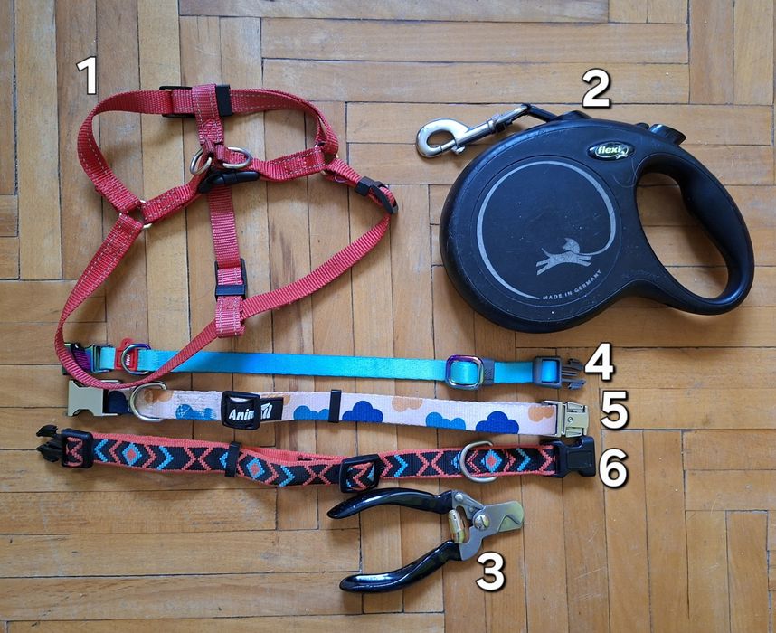 Амуниция и одежда для собак