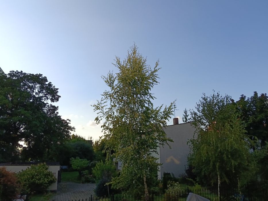 Mieszkanie – Gliwice - Widok 4