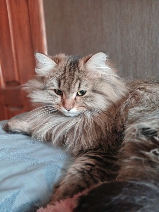 Девочка Джина 8 месяцев