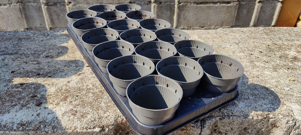 Vasos de plástico 9cm ler anúncio