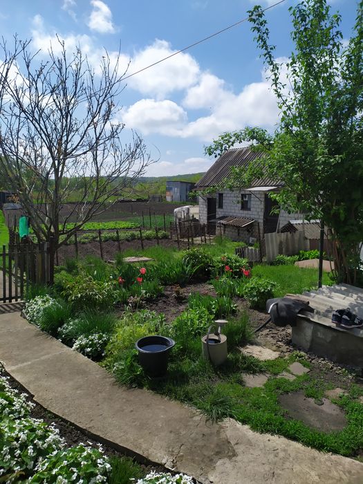 Продам будинок в с.Безруки р.Дергачи