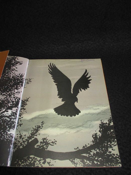 Livro Não há longe nem distância Richard Bach