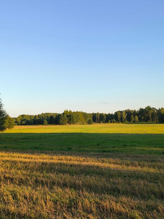 Działki budowlane Wólka Kokosia z bezterminowymi WZ, gm. Dobre, blisko Stanisławowa, Mińska Mazowieckiego, 15 minut do autostrady A2 - Widok 2
