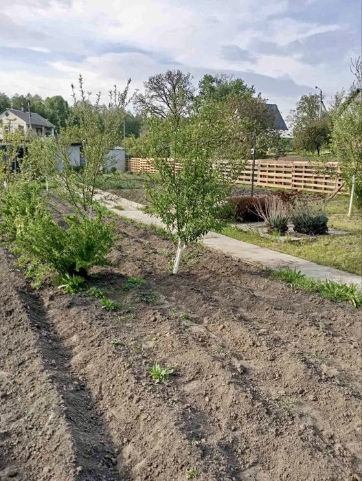 Готовий дачний будиночок з усіма комукаціями на доглянутій ділянці 12 соток