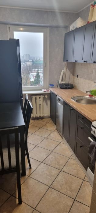 Pokoj  lub cale mieszkanie do wynajecia