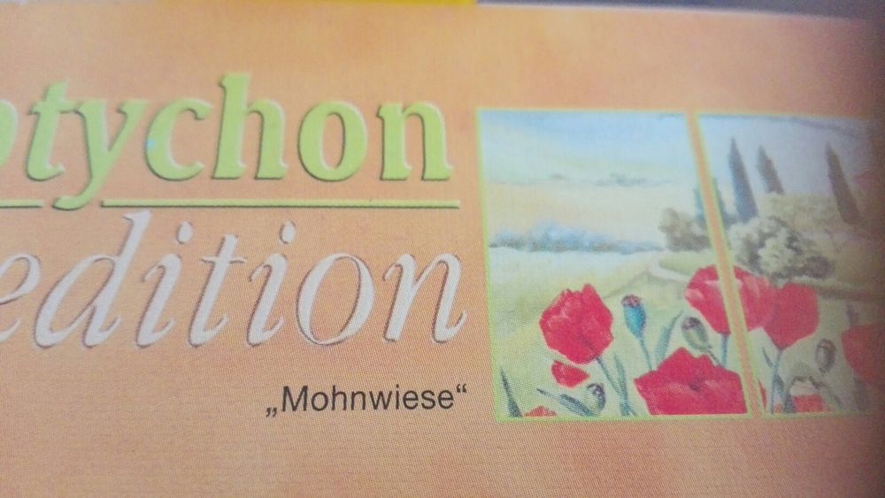 Puzzle  - 2000 peças - completo