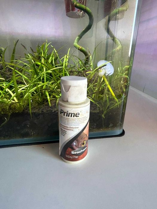 Aquário plantado 31 litros com acessórios