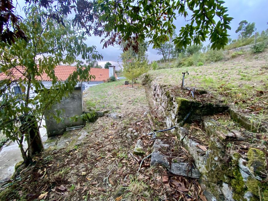 Quintinha c/ moradia T3 + 2 Ruínas