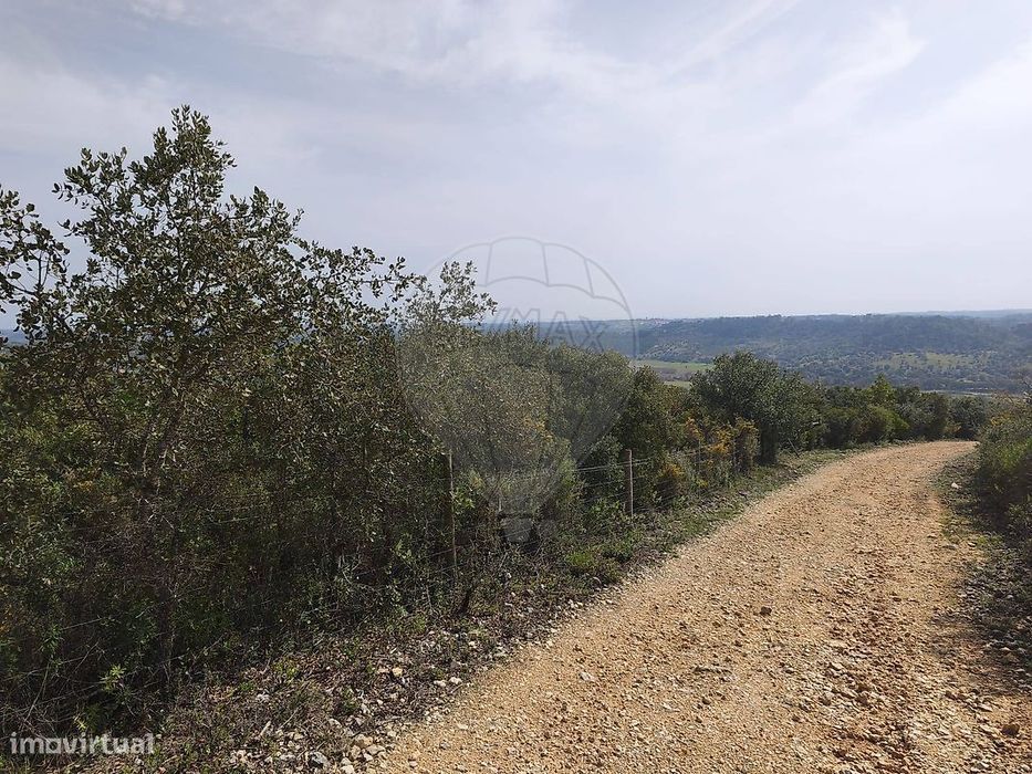 Terreno  para venda