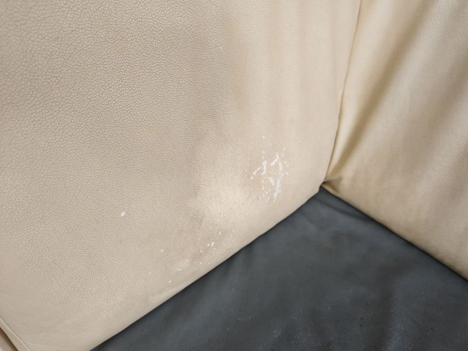 Rogówka rozkładana oddam