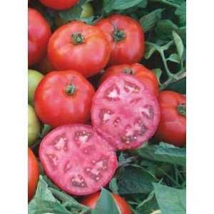 Nasiona pomidory Honey Moon, Eurasia. Holenderskie