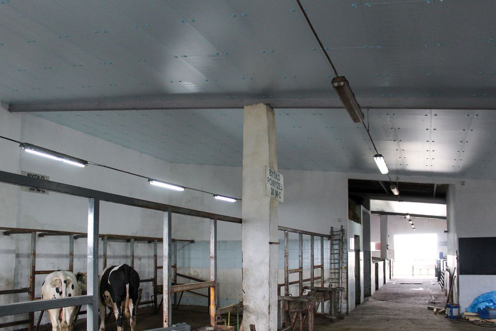 Płyty Styrodur XPS AGRO na Zardzewiałe Płyty Warstwowe Obornickie Rdzę