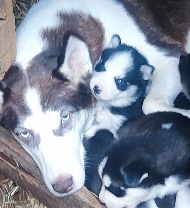 Наша малютка! Цікава