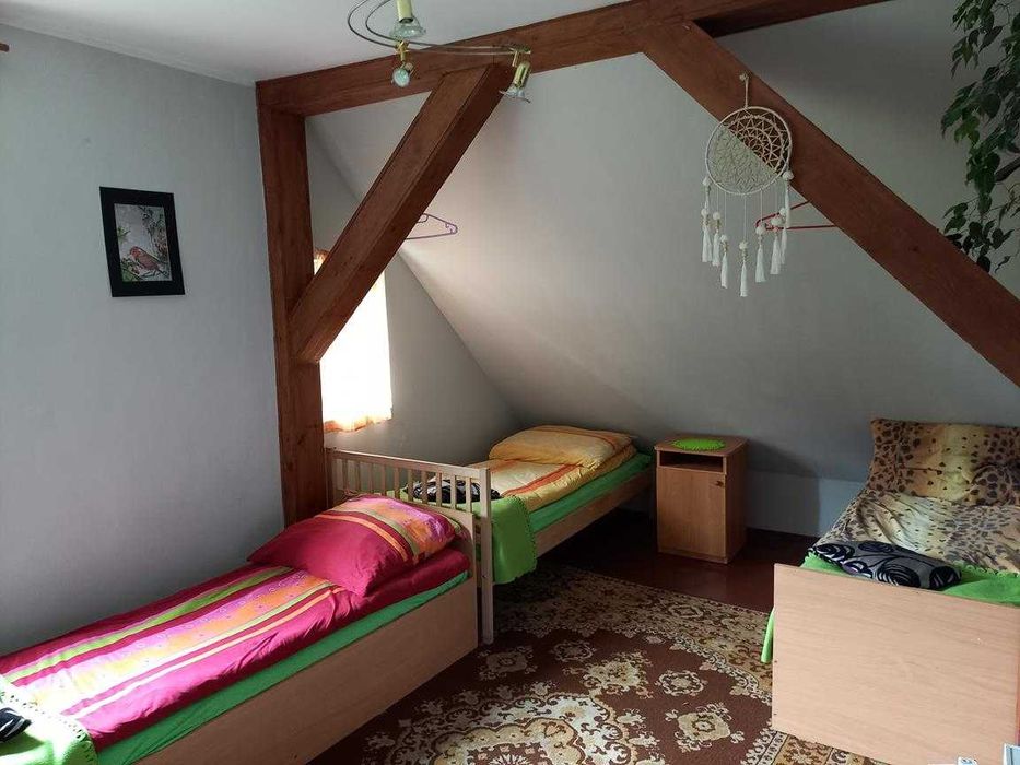 Tanie noclegi  Bory Tucholskie Tleń