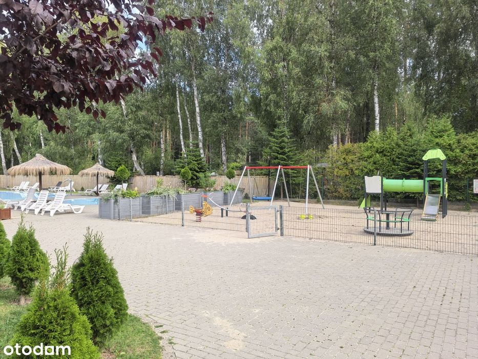 Zdjęcie 5
