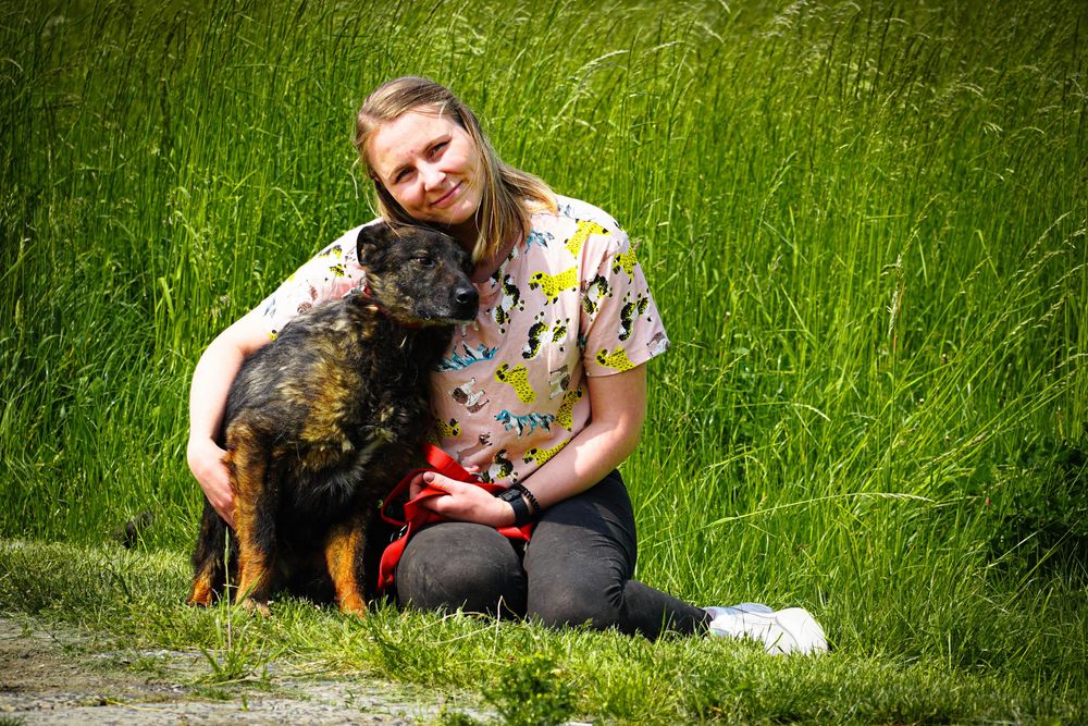 Misio czeka na swoją kolej pójścia do domku