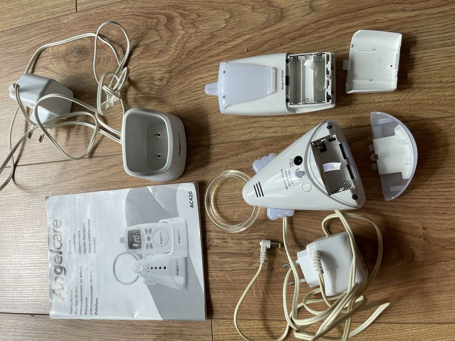 Elektroniczna niania