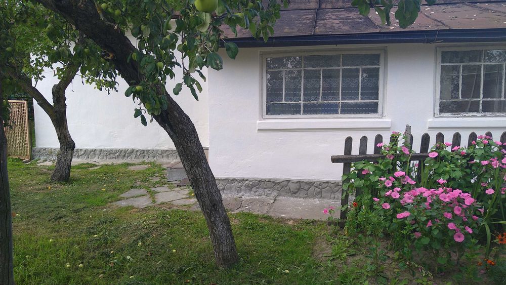 Продаж будинку та земельної ділянки 50 соток, місто Берестечко