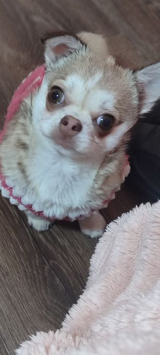 Щастя в ваш  дім