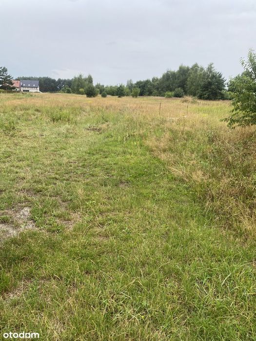 Działka budowlana 1000 m² w spokojnej okolicy