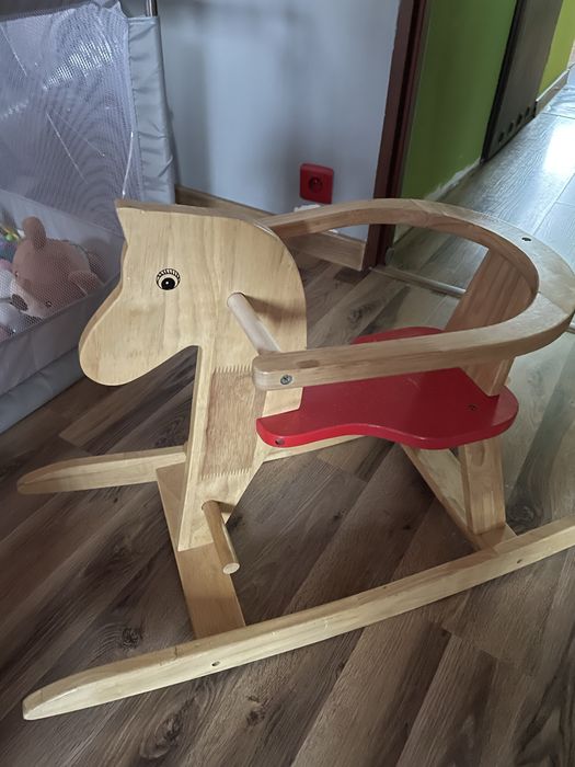 Konik na biegunach