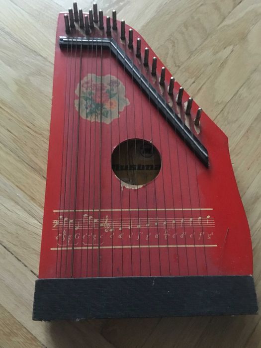 Cytra niemiecka sprzedam